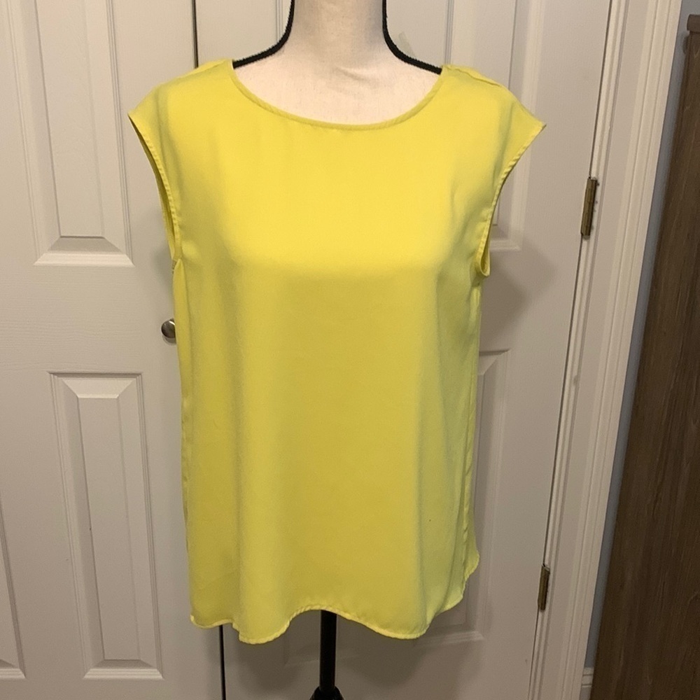 Halogen V Back Top